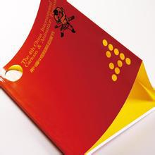 企業(yè)宣傳冊印刷,宣傳冊印刷