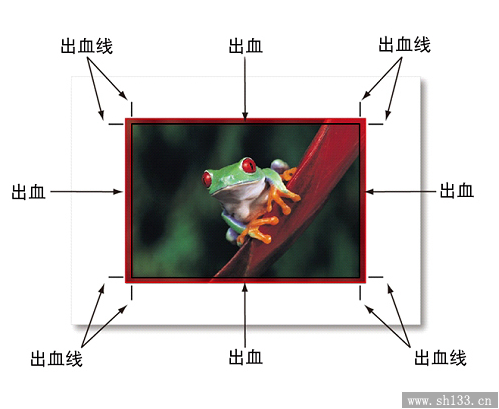 出血位 出血線 出血