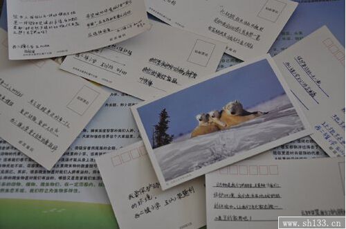 明信片制作