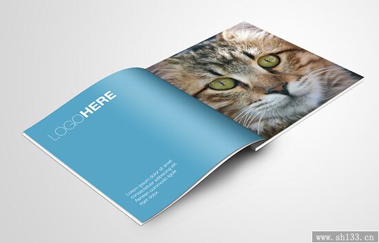 企業(yè)宣傳畫冊印刷